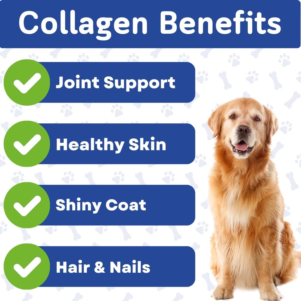 Collagen & Bone Broth for Dogs – Hip + Joint Support, Gut Health for Hair, Skin & Nails – with Glucosamine, MSM, Chondroitin, Turmeric – Natural Treats Made with Real Chicken & Beef