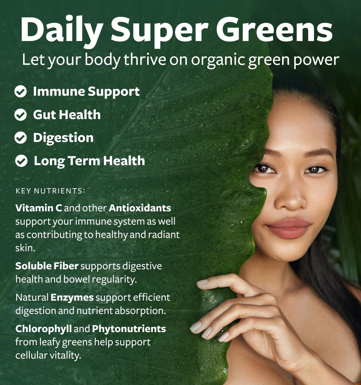 Super Greens & Antioxidants (2-Month Supply) Antioxidant Power Greens Bundle of Organic Super Greens Powder - Complete Superfood (120 Capsules) & Super Antioxidants - Powerful Superfood (120 Capsules) Healths Harmony buy supplements Au