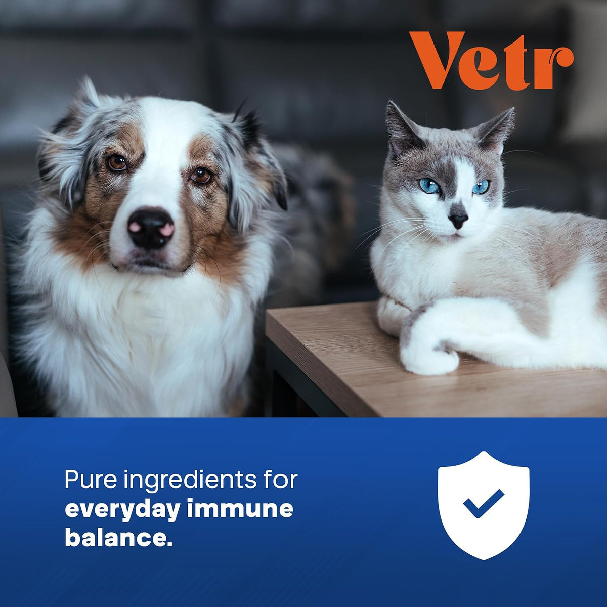 Vetr Silver Immune Support for Dogs and Cats, 4oz/120mL Liquid in Amber Bottle with Oral Dropper, Professional Grade Colloidal Silver Supplement for Daily Wellness and Seasonal Defense
