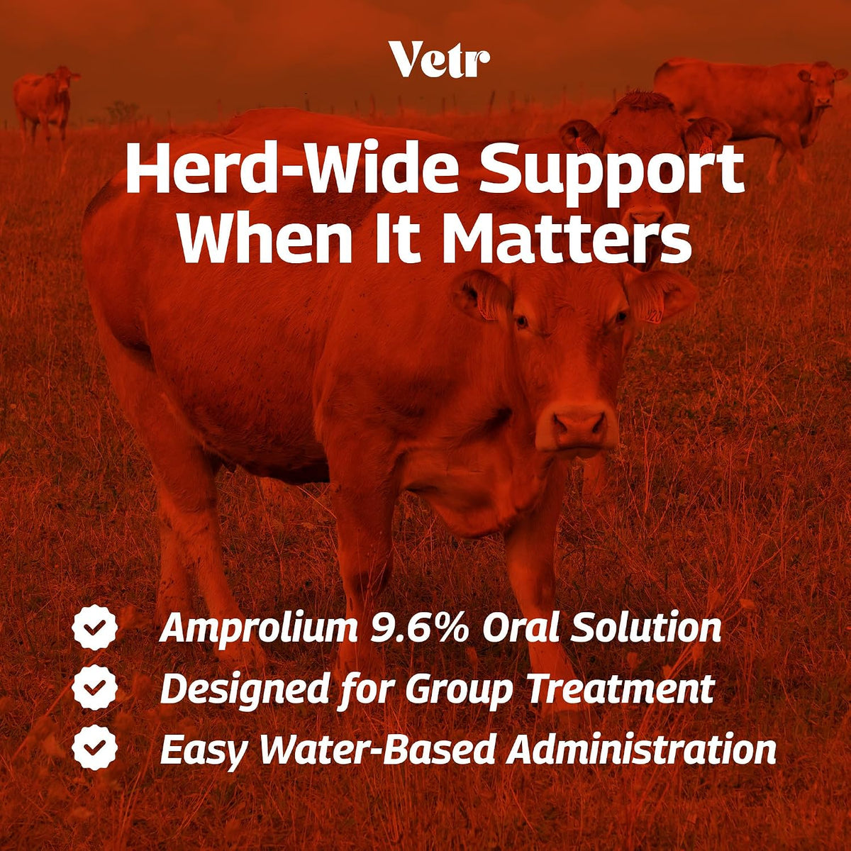 Ampromax Amprolium for Cattle (9.6%), 16.9 Ounces