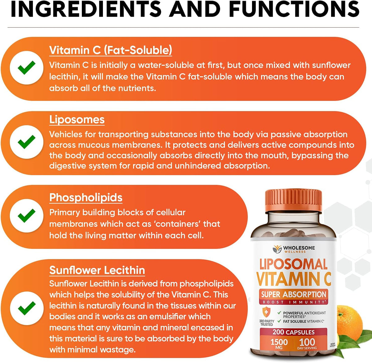 Wholesome Wellness Digestive Enzymes 1000MG Plus Prebiotics & Probiotics + Liposomal Vitamin C Capsules (200 Pills 1500mg Buffered) Bundle