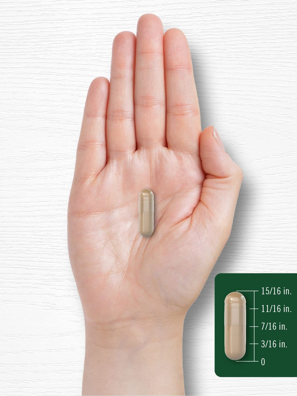 Carlyle Amla Capsules 1500mg | 120 Count | Amalaki Fruit | Herbal Extract Supplement | Non-GMO and Gluten Free - PrimeBioHealth - canada supplements