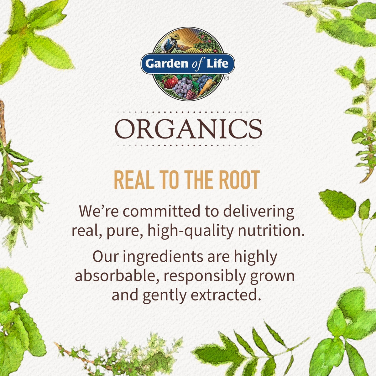 Garden of Life Organics Vegan Vitamin D3 Chewable - Raspberry Lemon, 2,000 IU (50mcg) Whole Food Vitamin D3 from Lichen - PrimeBioHealth - canada supplements