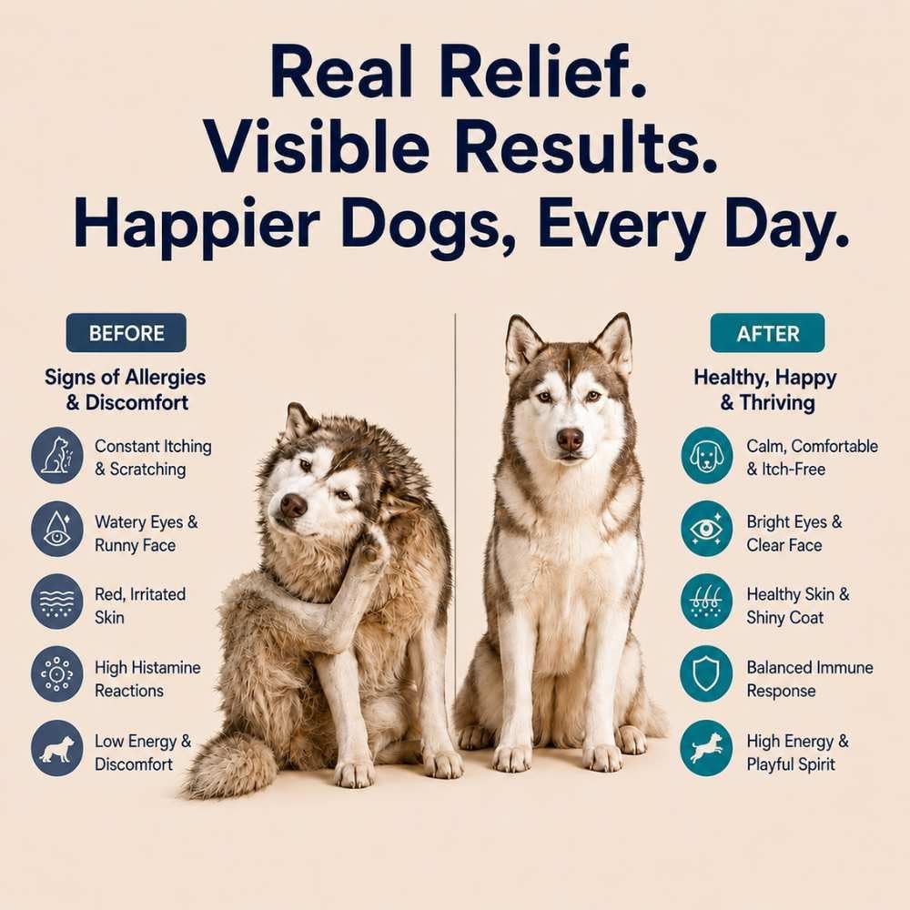 Dog Allergy Chews - 200ct Dog Allergy Relief for Itching Skin & Paw Licking - Allergy and Immune Chews for Dogs with Probiotics & Colostrum - Anti Itch Supplement for Seasonal Allergies, Salmon Flavor