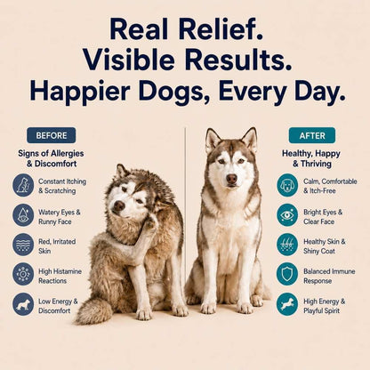 Dog Allergy Chews - 200ct Dog Allergy Relief for Itching Skin & Paw Licking - Allergy and Immune Chews for Dogs with Probiotics & Colostrum - Anti Itch Supplement for Seasonal Allergies, Salmon Flavor