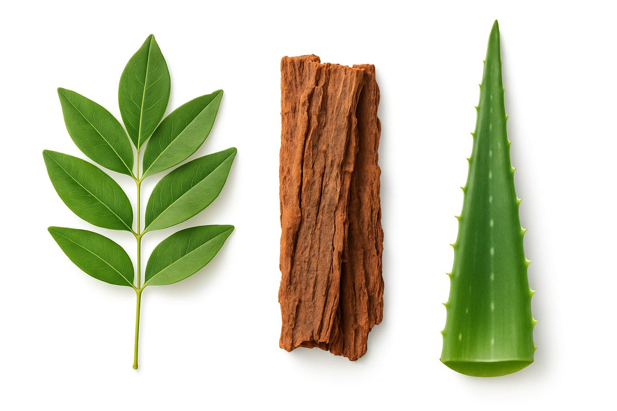 PRIMAL RESOURCE 15 Day Cleanse & Detox – Supports Digestive Health, Regularity & Gut Cleanse –Herbal with Probiotics PRIMAL RESOURCE buy supplements Au