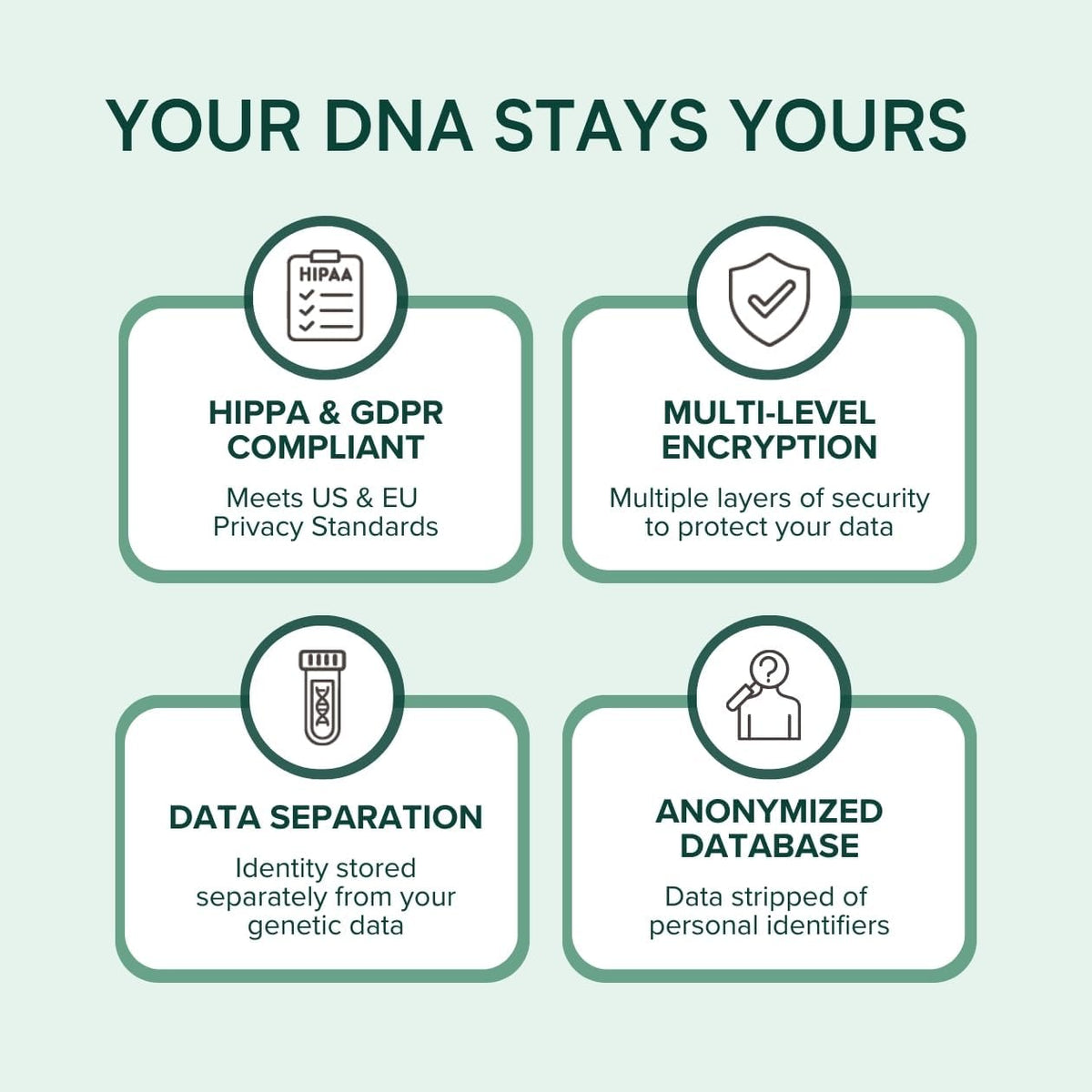 APOE4 Gene Test Kit: At-Home DNA Brain Health & Cognitive Genetic Analysis – Easy Cheek Swab – Personalized Genetic Insights – CLIA-Certified Lab