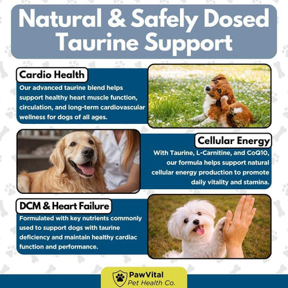 Taurine for Dogs – Heart Support Supplement with L-Carnitine, CoQ10 & Hawthorn Berry – Dog Heart Health & Cardiovascular Support Chews – Taurine Supplement for Dogs – 180 Chicken Flavor Soft Chews