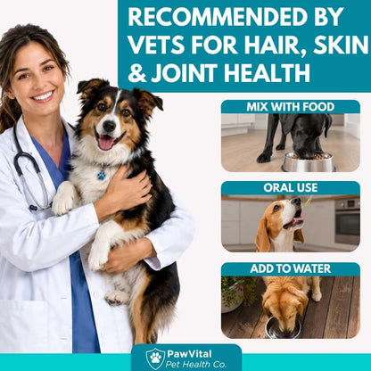 Liquid Collagen for Dogs – 1000mg 5 Types Grass-Fed Collagen Peptides (I, II, III, V & X) with MSM, Glucosamine, Chondroitin, Hyaluronic Acid – Skin & Coat, Itch Relief, Hip & Joint Support – 4oz