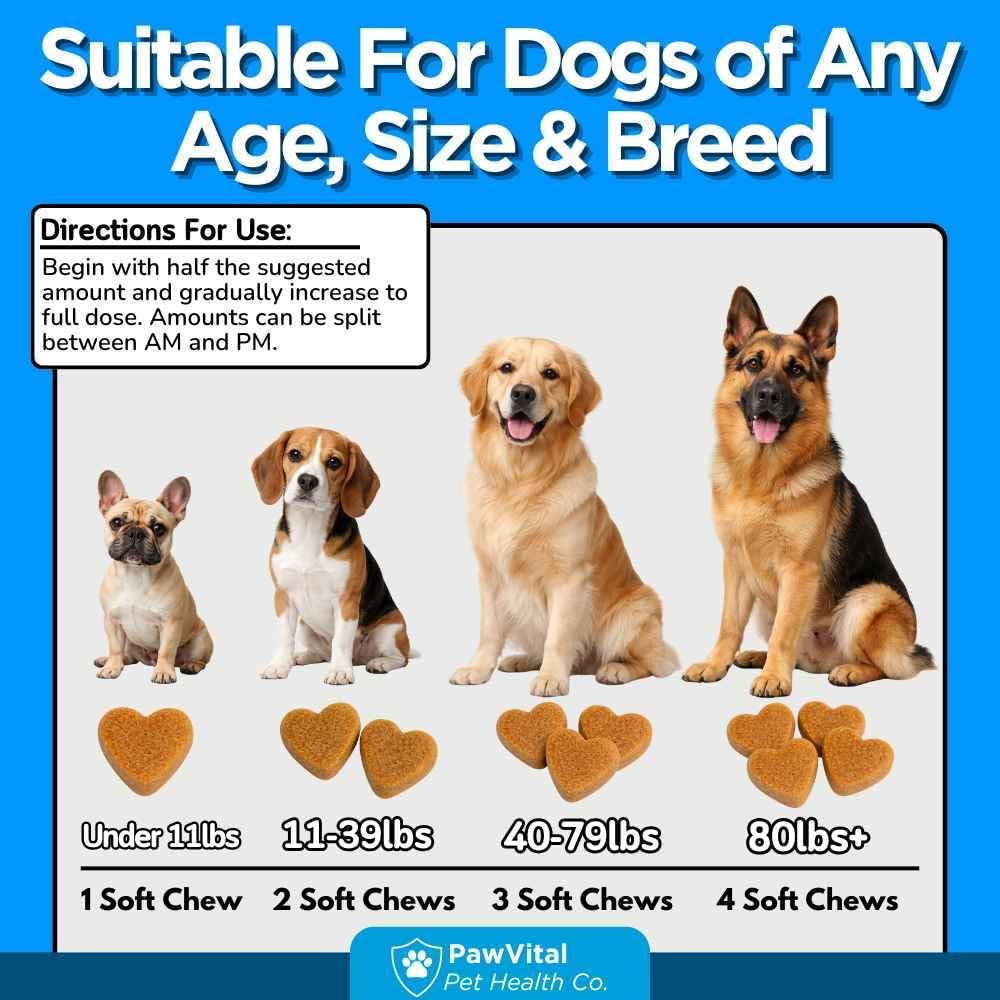 Flea and Tick Prevention for Dogs Chewables – 150 Soft Chews – Natural Dog Flea & Tick Control Supplement – Oral Defense Treatment with Omega Skin & Coat Support – All Breeds & Ages – Chicken Flavor