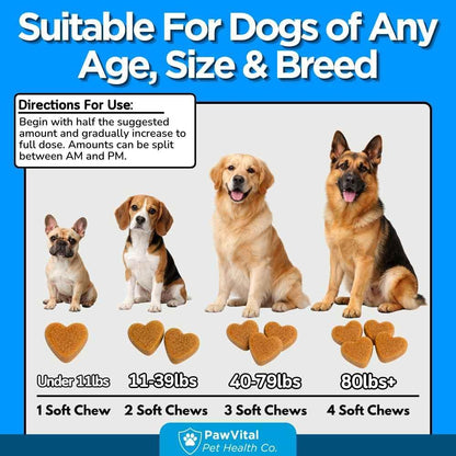 Flea and Tick Prevention for Dogs Chewables – 150 Soft Chews – Natural Dog Flea & Tick Control Supplement – Oral Defense Treatment with Omega Skin & Coat Support – All Breeds & Ages – Chicken Flavor