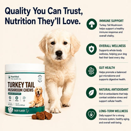 Turkey Tail Mushroom for Dogs – Mushroom Chews with Reishi & Probiotics – Dog Vitamins & Supplements for Immune Support, Gut Health, Brain Function & Daily Wellness – Duck Flavor – 90 Soft Chews