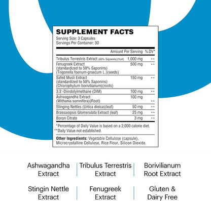 Wellthy Enhance Testosterone Supplement and Estrogen Blocker for Men (90 Pills)