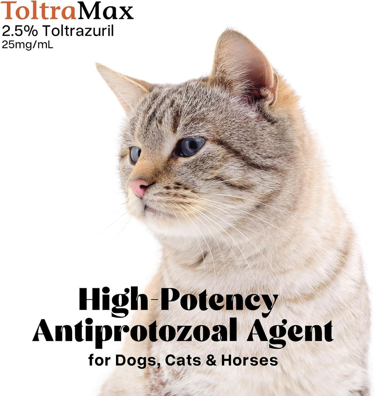 Toltrazuril 2.5% for Horses, Dogs, Cats, 1/2 Gallon, For Non-food chain animals, Peanut Butter