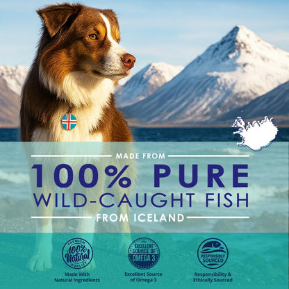 Liquid Fish Oil for Dogs with Omega 3, 6 & 9 Fatty Acids, Wild Caught from Iceland, Skin and Coat Supplement for Shedding, Itchy Skin, Allergies, Brain and Heart Health, Rich in EPA + DHA - 16 oz