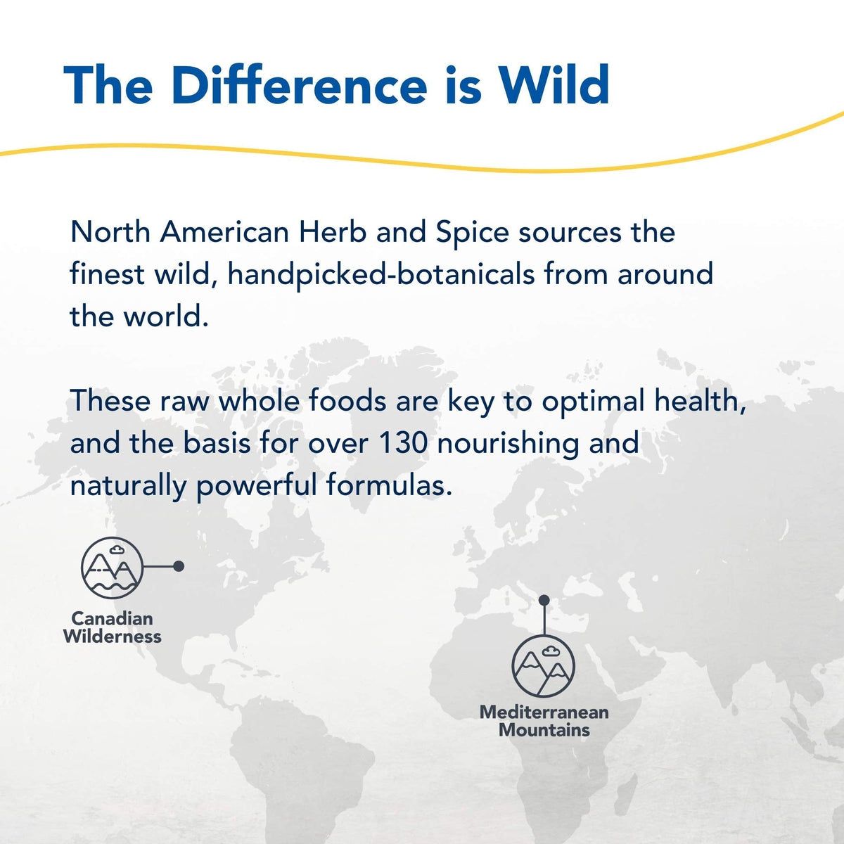 NORTH AMERICAN HERB & SPICE Total Body Purge - 12 fl. oz. - Raw Whole Body Formula - Builds Healthy & Nutritious Diet - Contains Natural Source Phenols, Vitamins, & Minerals - 12 Servings NORTH AMERICAN HERB & SPICEBuy Supplements Australia