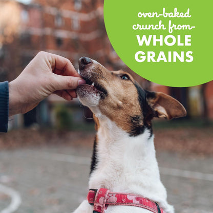 Buddy Biscuits Teeny Crunchy Dog Treats, Roasted Chicken, 8 oz. Box | Bite-sized Gingerkid Shape, Simple Ingredients, Free of Corn and Soy, Oven Baked in the USA
