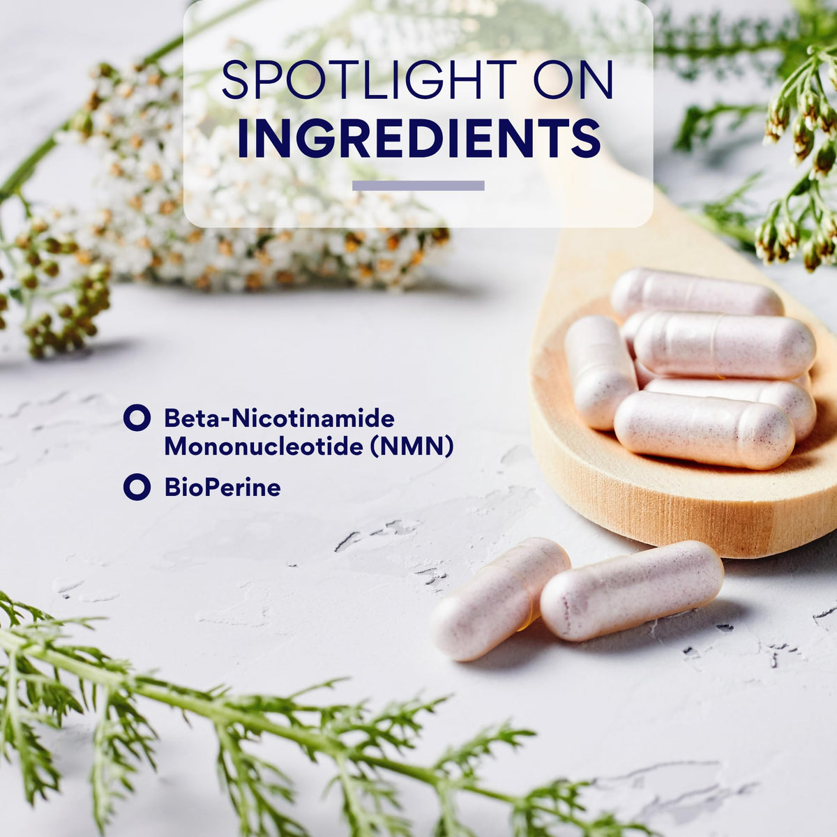 Research Verified NMN - Boost Cellular Energy, Support Healthy Aging & Vitality - 500mg Pure NMN - 60 Capsules - 1 Bottle