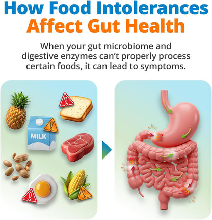 5Strands Gut Health Test Analyzing Reaction to 500 Items