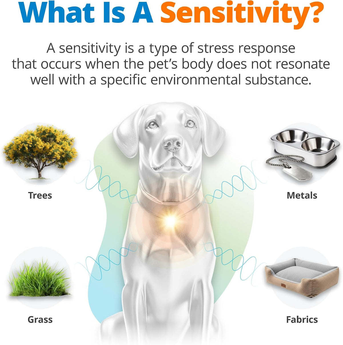 5Strands Pet Heavy Metal Sensitivity Test, Health Check for Dogs & Cats