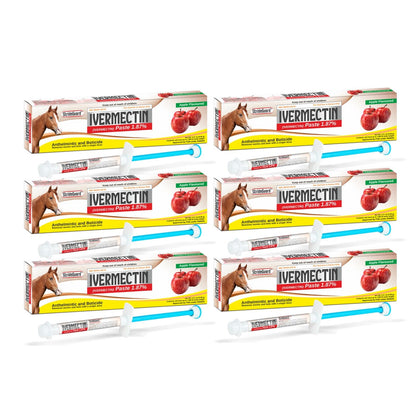 Horse Ivermectin Paste 1.87% – Apple Flavored Oral Horse Dewormer Syringe – 6.08g Tube Treats Horses Up to 1,250 lbs [Pack-1]