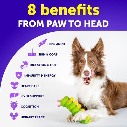 Dog Multivitamin Chewable with Glucosamine 26 in 1 - Dog Vitamins and Supplements - Senior & Puppy Multivitamin for Dogs - Pet Joint Support Health - Immunity, Mobility, Gut Skin - 120 Chews