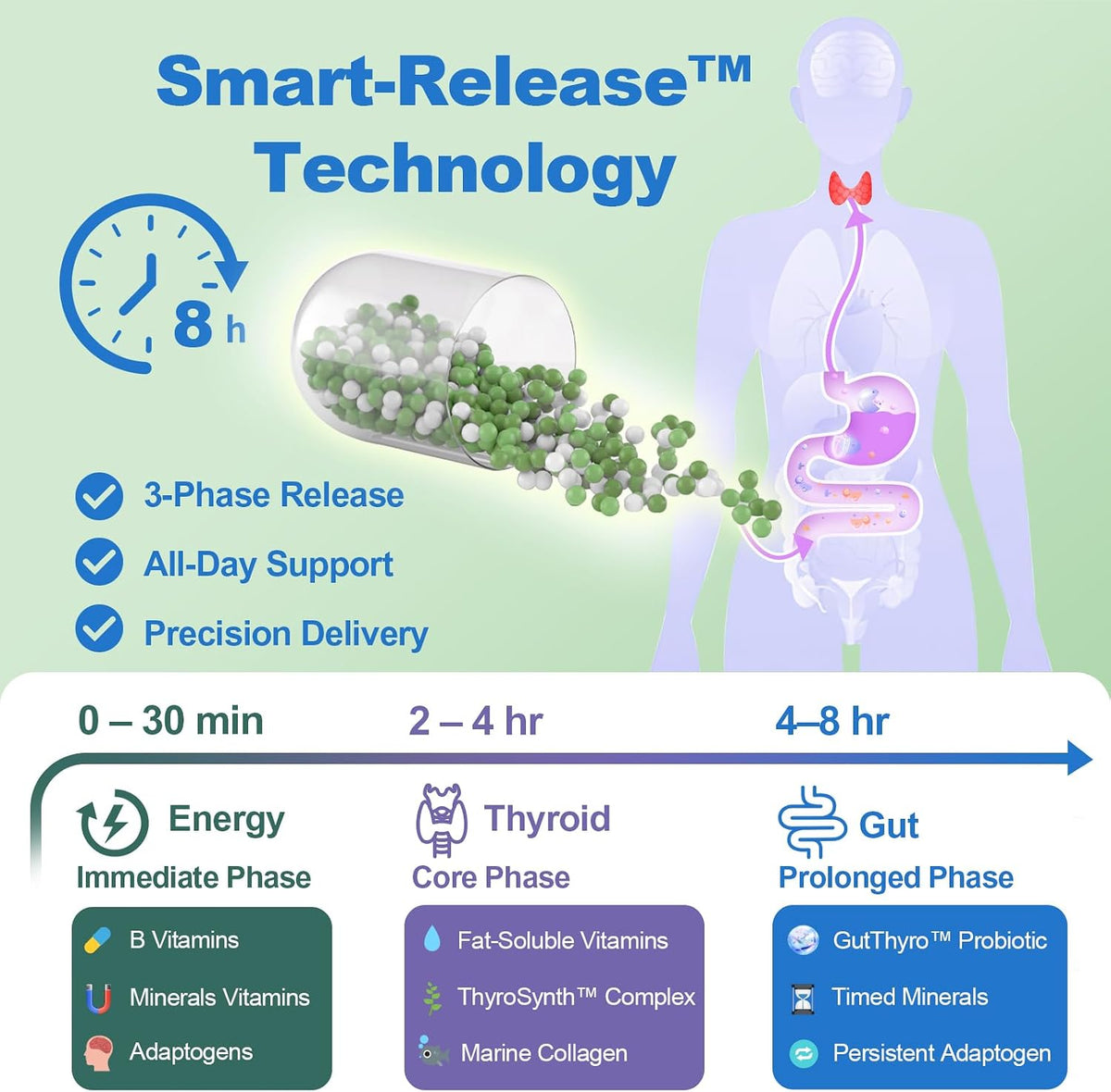 Thyroid Support Supplement for Women 120 Capsules - Smart-Release Micro-Beads with ThyroSynth™ & GutThyro™ - Advanced Thyroid Complex, Ashwagandha, Marine Collagen & 20B CFU Probiotics - 1 Bottle