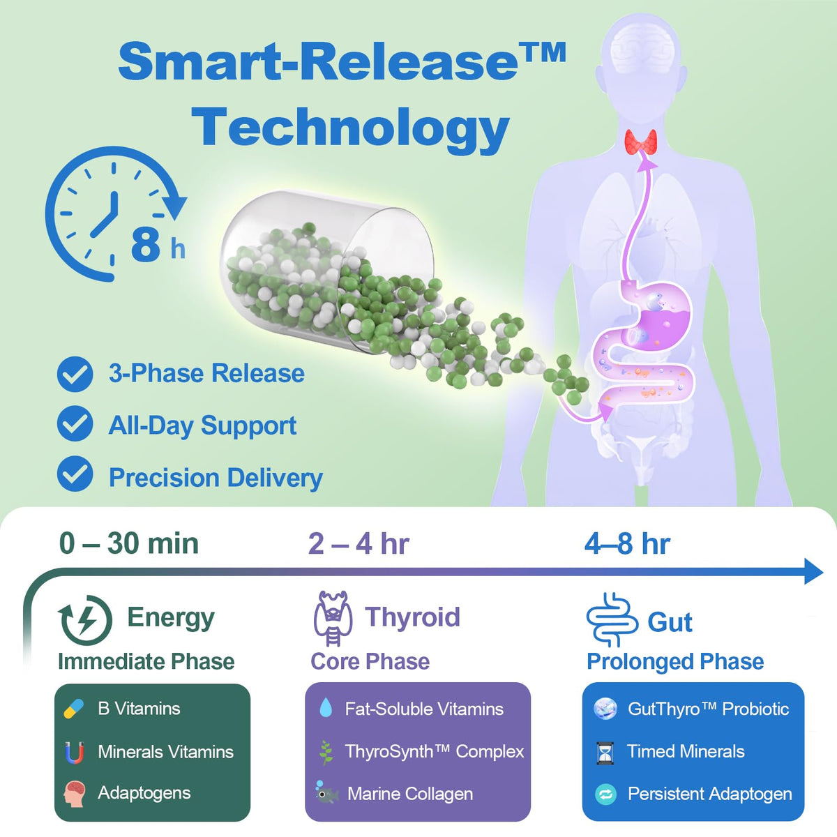 Thyroid Support Supplement for Women 120 Capsules - Smart-Release Micro-Beads with ThyroSynth™ & GutThyro™ - Advanced Thyroid Complex, Ashwagandha, Marine Collagen & 20B CFU Probiotics - 1 Bottle