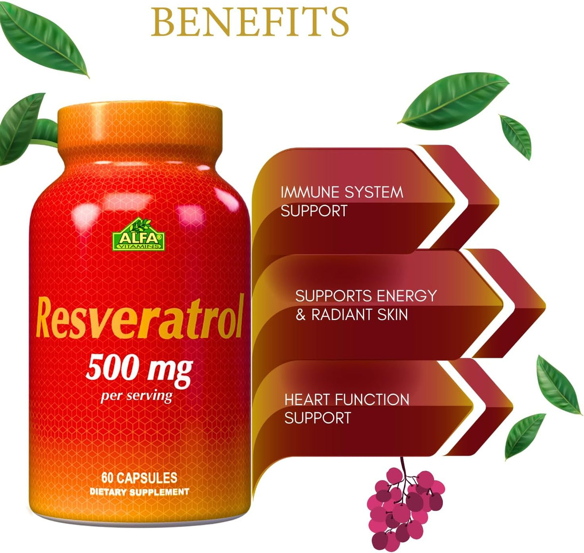 Resveratrol 1000mg by Alfa Vitamins - Powerful Antioxidant, Helps prevent cell damage - Supports Brain Function, Cardiovascular Health, Metabolism, anti-aging effects - 60 Capsules