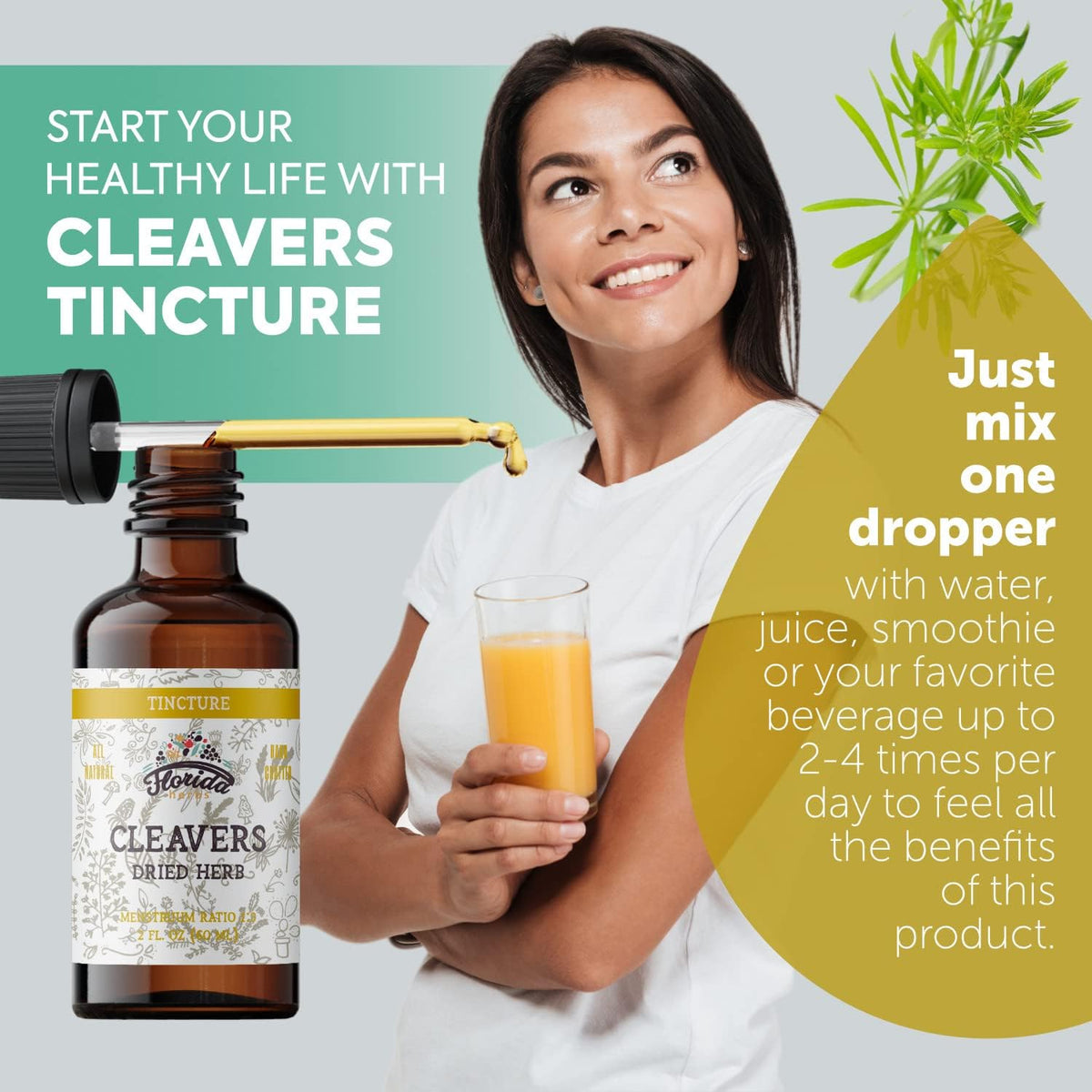 Cleavers Tincture, Organic Cleavers Extract, Cleavers Drops (Galium aparine) Dried Herb