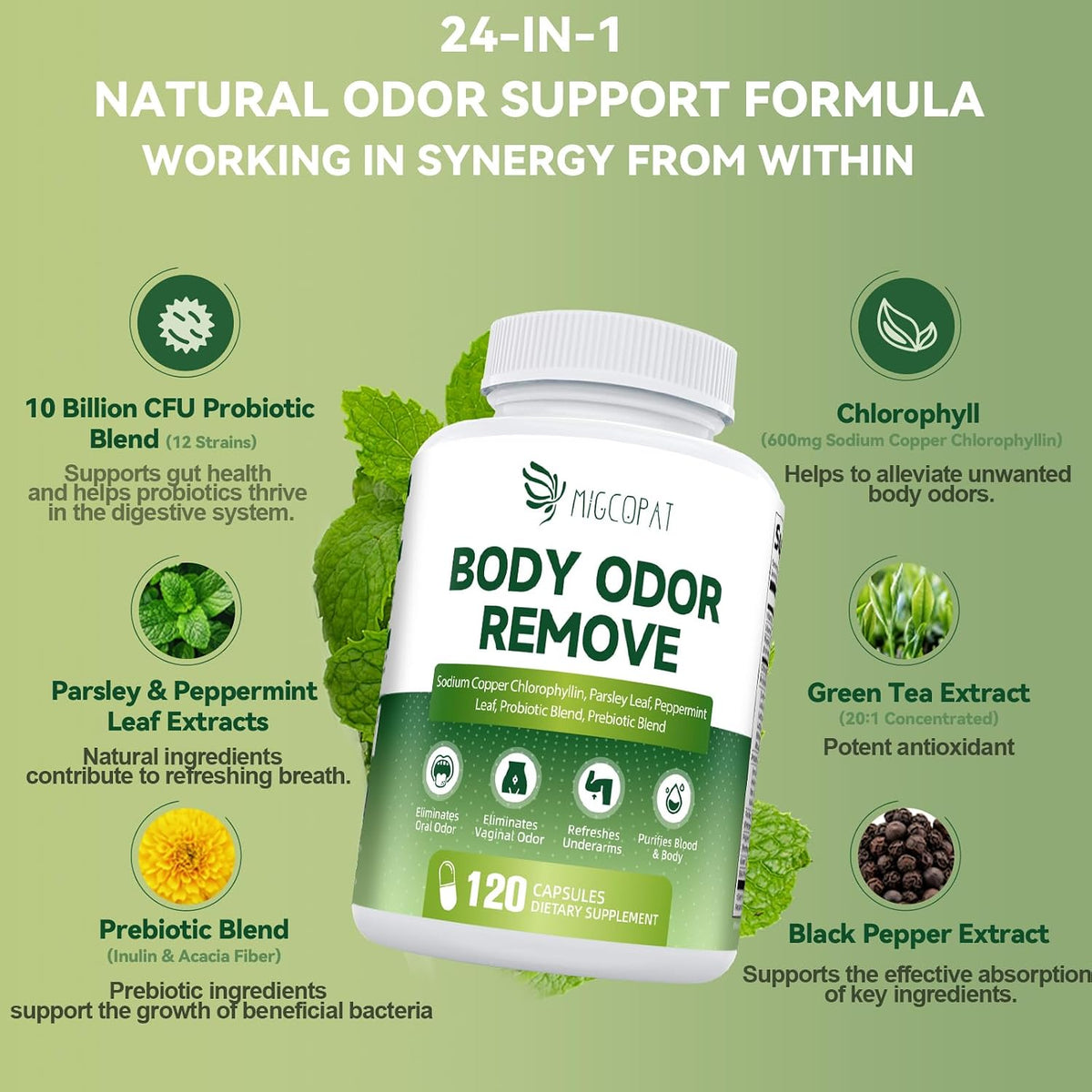 Chlorophyll Body Deodorizing Supplement with 10 Billion CFU Probiotic, Vitamin C & E, Parsley, Peppermint, Green Tea, Prebiotics, Chlorophyll Capsules Supports Breath & Whole-Body Freshness, 120 Caps