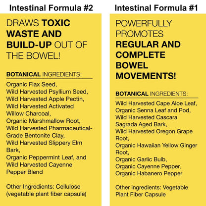 Dr. Schulze's Intestinal Formula #2 (8 Ounces) and Intestinal Formula #1 Capsules (90 Capsules) - Organic Herbal Supplements Dr. Schulze'sBuy Supplements Australia