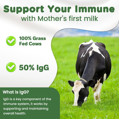 MICYDELAS Bovine Colostrum Supplement Powder 50% IgG Premium Bovine Colostrum for Gut Health Support, Immune Support, Muscle Recovery & Overall Wellness, Grass Fed, Non-GMO, Unflavored, 60 Servings MICYDELAS buy supplements Au