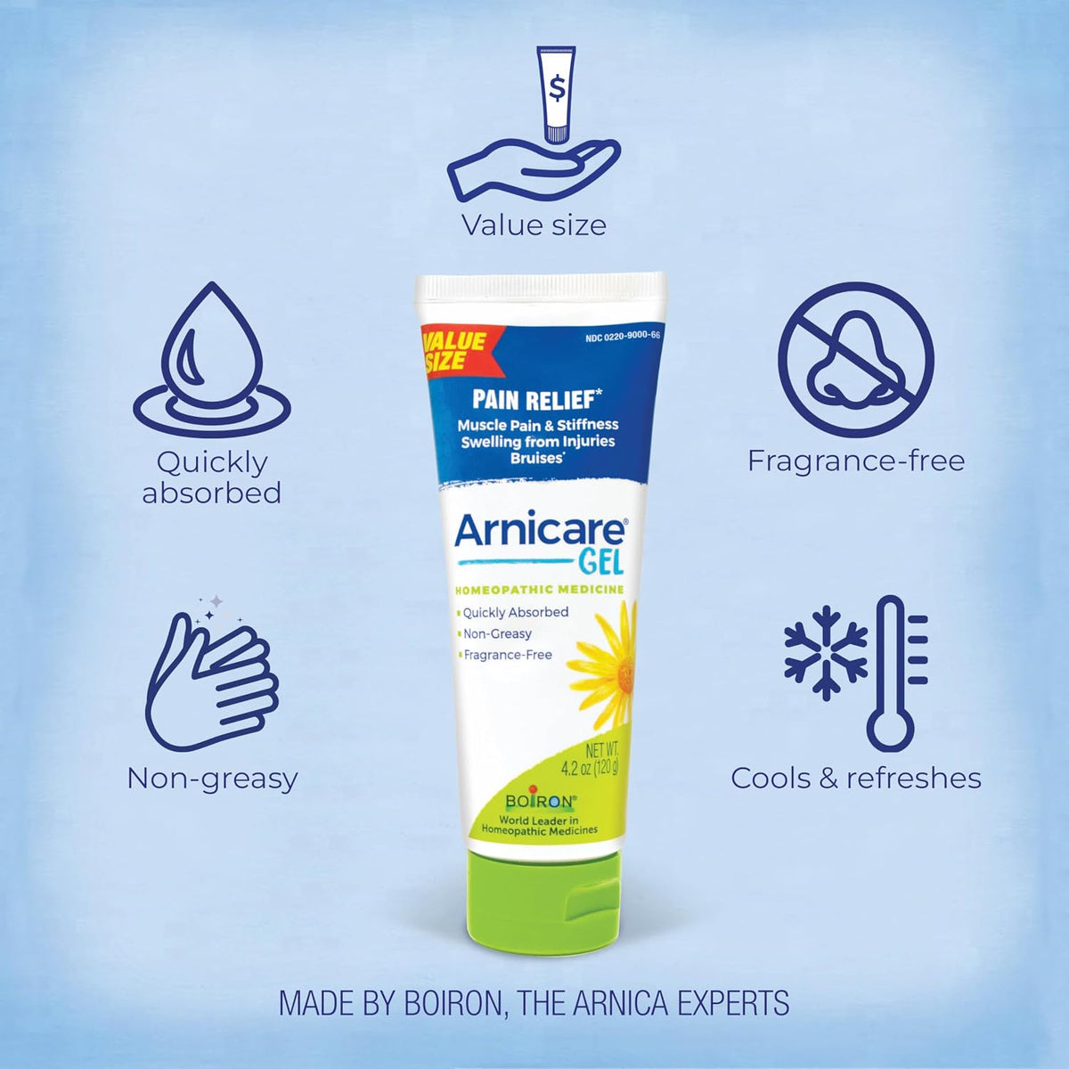 Boiron Arnicare Gel 4.2 oz (Twin Pack) for Joint Pain Relief, Muscle Pain, Muscle Soreness, and Swelling from Bruises or Injury - Non-Greasy and Fragrance-Free Arnica