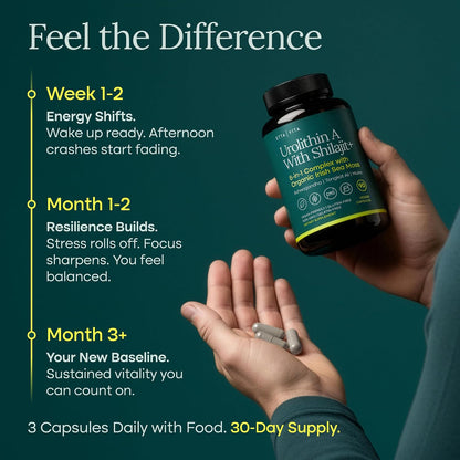 Urolithin-A Complex with Shilajit, Sea Moss, Ashwagandha & Tongkat Ali 90Ct | Urolithin a supplement, supports natural energy, hormone balance, focus & cellular health, vegan, non-GMO, made in USA