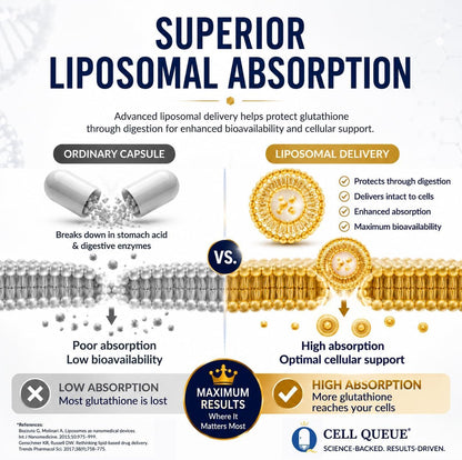 Liposomal Glutathione Liquid Supplement - Cellular Antioxidant Support with Phosphatidylcholine - Supports Liver Health, Immune System, Skin Radiance & Healthy Aging, 1.7 fl oz | Ultra High Absorption Glutathione Supplement with Reduced Glutathione & Phos