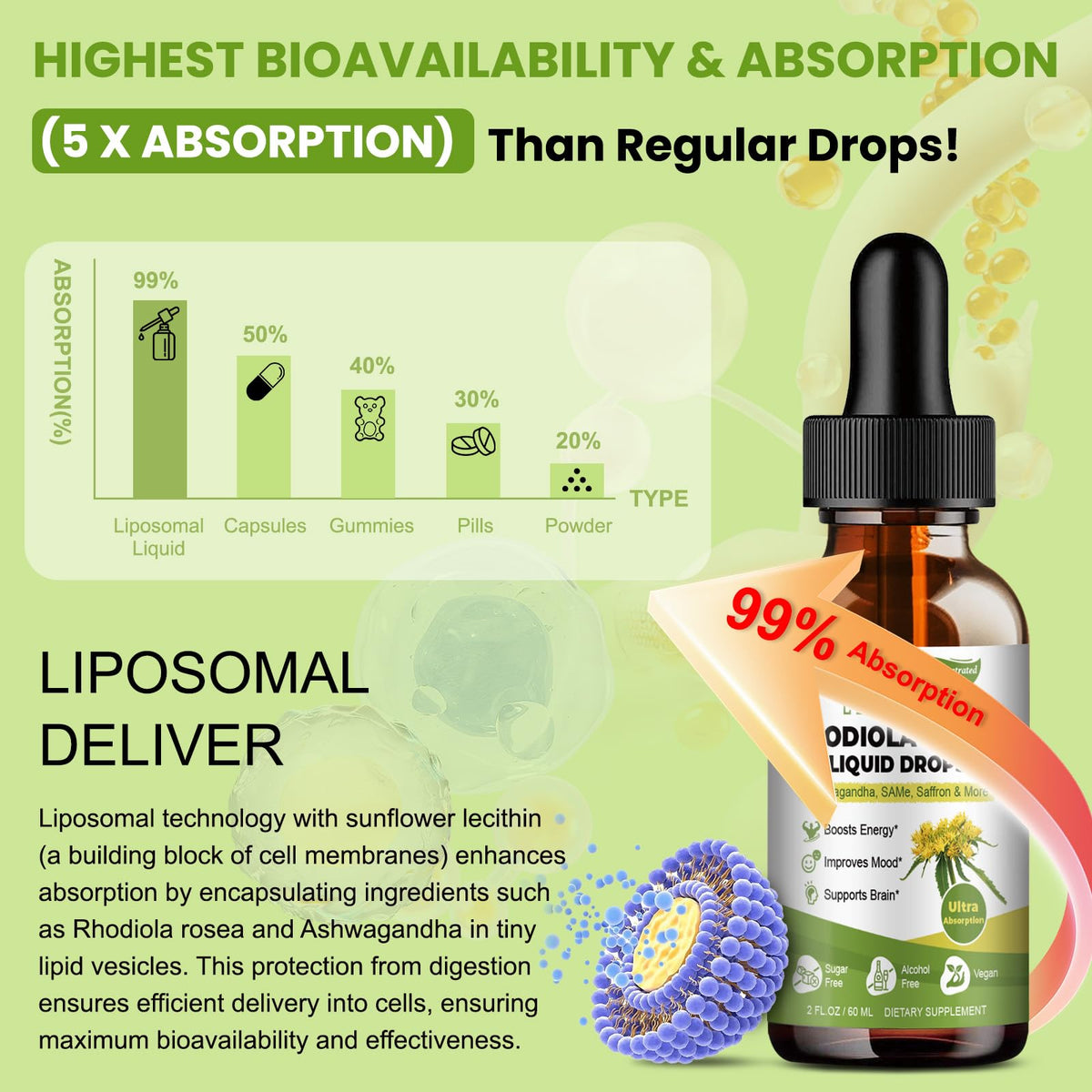 Totaria 16-in-1 Liposomal Rhodiola Rosea Supplement Tincture 1000mg, Ultra Strength Rhodiola 10:1 Root Extract w/Ashwagandha, Rhodiola Liquid Drops for Natural Relaxation, Mood, Energy, Alcohol-Free