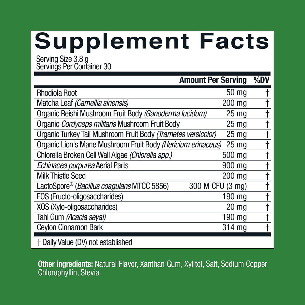 Live Conscious Beyond Greens Concentrated Superfood Powder - Matcha Flavor w/Chlorella, Echinacea, Probiotics for Immune Support & Energy - 30 Servings (2-Pack) Live ConsciousBuy Supplements Australia
