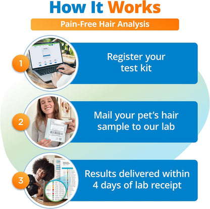 5Strands Air & Freeze-Dried Pet Food Intolerance Test with 360 Items Tested