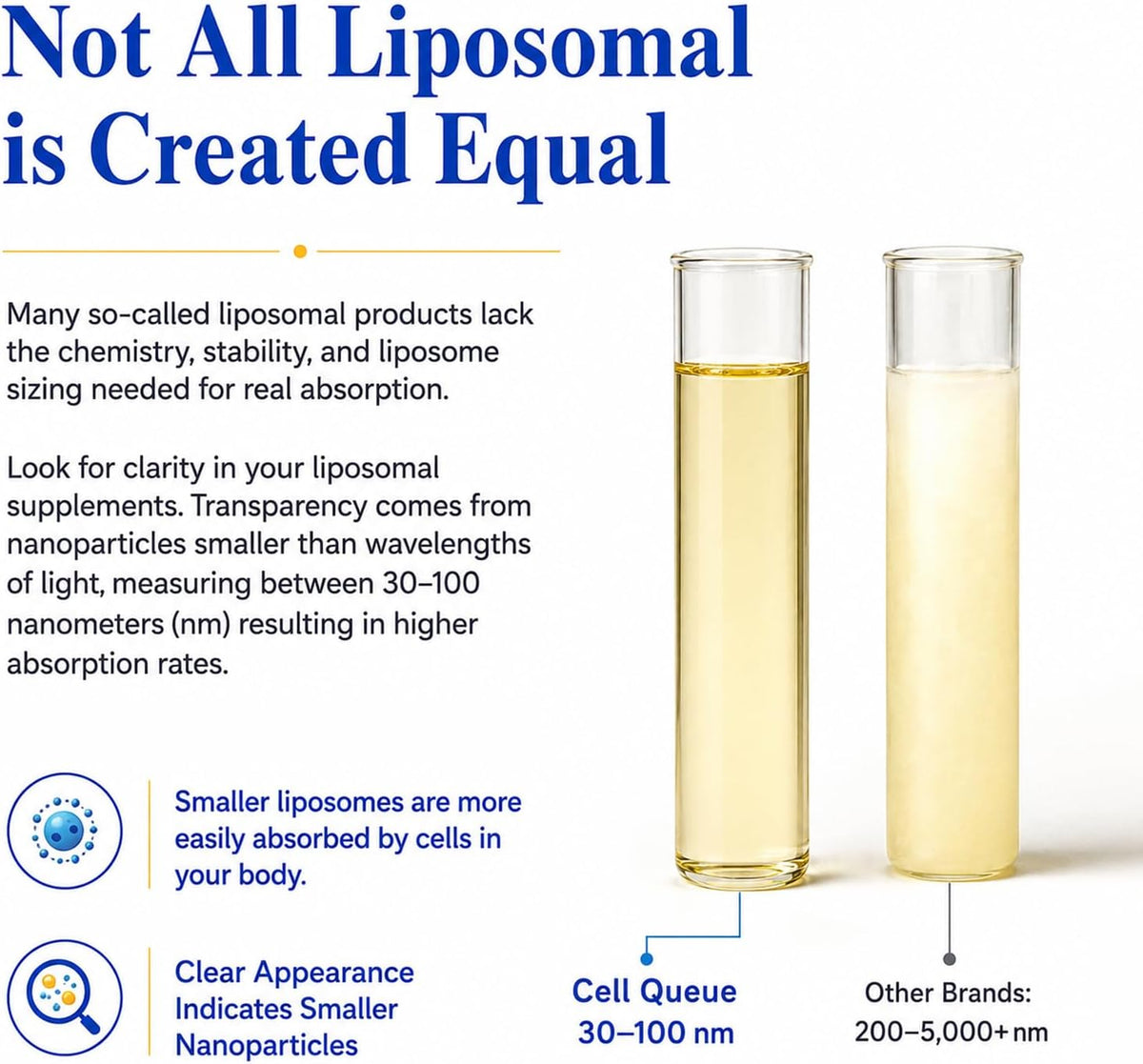 Liposomal Glutathione Liquid Supplement - Cellular Antioxidant Support with Phosphatidylcholine - Supports Liver Health, Immune System, Skin Radiance & Healthy Aging, 1.7 fl oz | Ultra High Absorption Glutathione Supplement with Reduced Glutathione & Phos