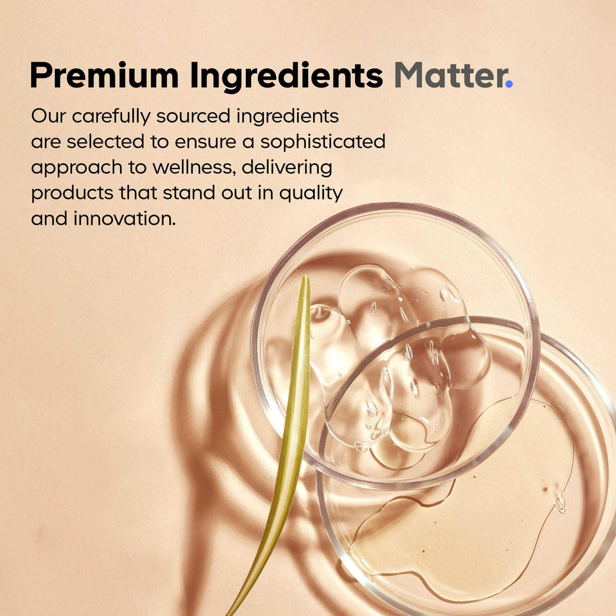Codeage Selenium 200 mcg Supplement, 6-Month Supply, Immune Support, Mineral Cofactor Selenomethionine, Phospholipids, Vegan, Liposomal Delivery, 180 Capsules CodeageBuy Supplements Australia
