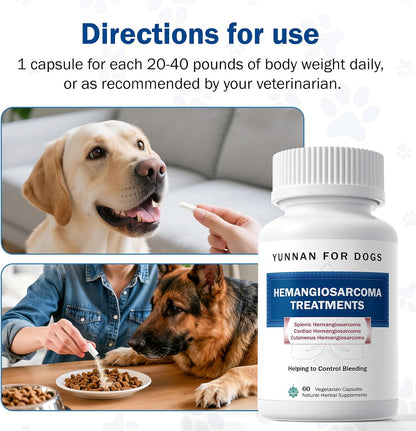 Fast Acting Bleeding Control for Dogs - Yunnan Sanqi Herbal Capsules | Supports Internal Bleeding, Hemangiosarcoma, Nosebleeds, Bloody Stools, Post-Surgical Recovery, 60 Capsules