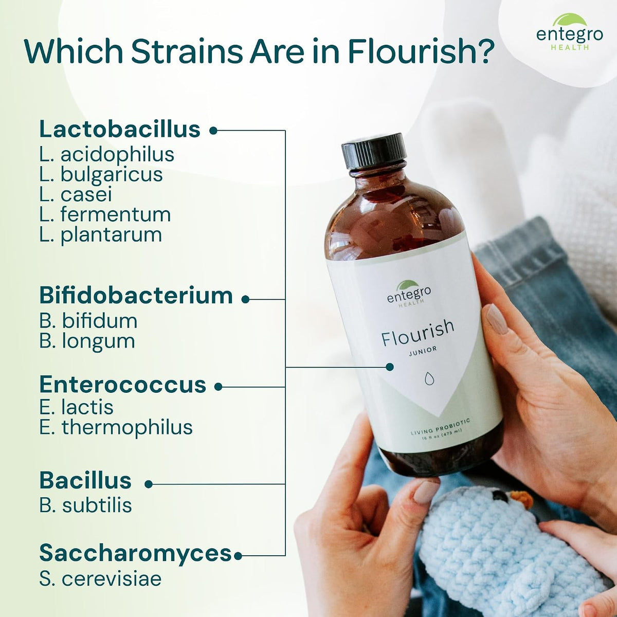 ENTEGRO Flourish Junior Liquid Probiotic & Postbiotic Supplement, Plastic | 11 Live Cultures, Gut & Digestive Health For Women, Men & Kids, Organic, Vegan, Allergen Free, Non-GMO, USA Made, 16 fl oz