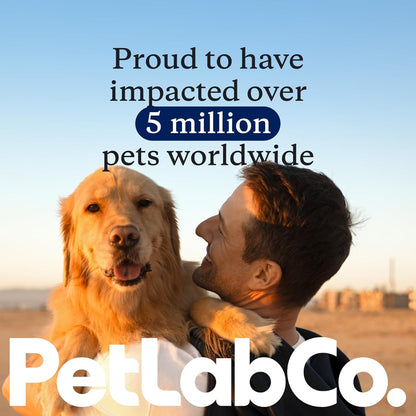 PetLab Co. Pumpkin Powder for Dogs, Supplement Powder | Fiber-rich prebiotic powder sprinkled onto food to support firm stools and a balanced gut
