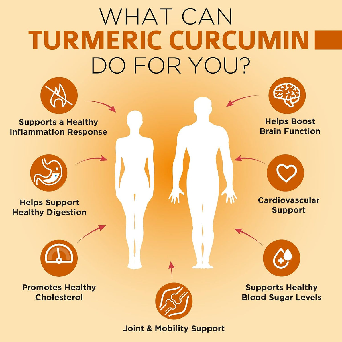 OmniBiotics Organic Turmeric Curcumin Supplement with Black Pepper Extract – 1500mg Turmeric with 95% Curcuminoids & BioPerine, High Absorption for Joint Support – 120 Vegan Capsules