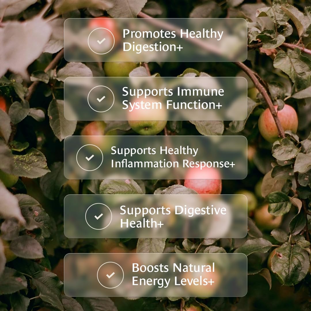 Healing Leaves, Longevity Blend Loose-Leaf Tea- 30 Servings | Biblically Inspired, 12 Fruit Tree Leaf Blend. Supports Digestion, Immune Function, Healthy Inflammation Response and Energy