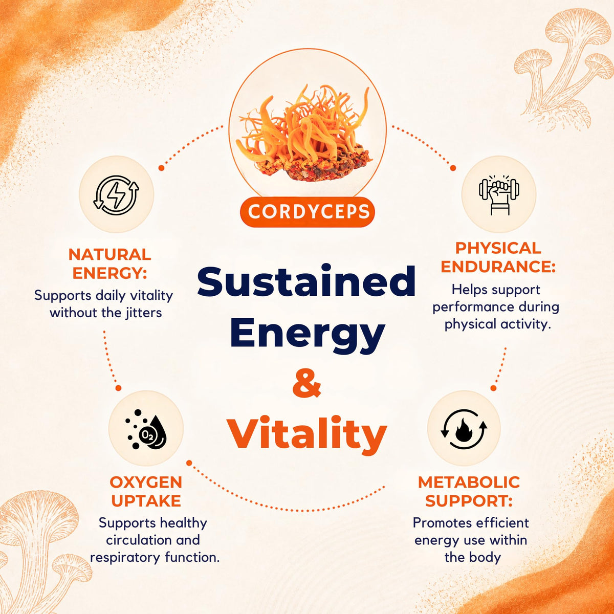 8-Mushroom Extract Powder by Malama, Organic Body Mushroom Blend Featuring Lion's Mane, Reishi, Cordyceps, Chaga, Turkey Tail, Superfood Adaptogenic - PrimeBioHealth - canada supplements