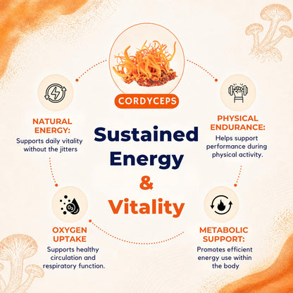 8-Mushroom Extract Powder by Malama, Organic Body Mushroom Blend Featuring Lion's Mane, Reishi, Cordyceps, Chaga, Turkey Tail, Superfood Adaptogenic - PrimeBioHealth - canada supplements
