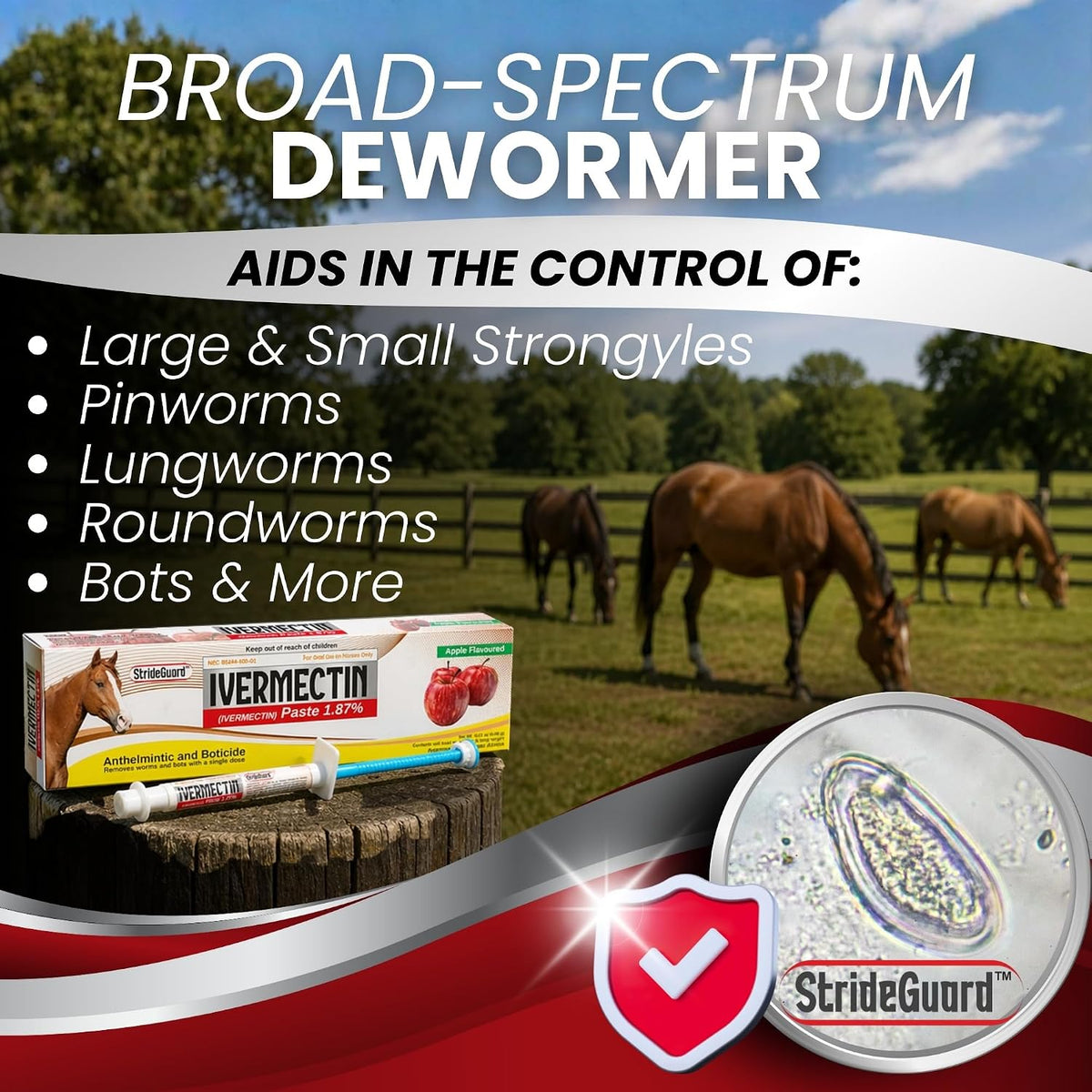 Horse Ivermectin Paste 1.87% – Apple Flavored Oral Horse Dewormer Syringe – 6.08g Tube Treats Horses Up to 1250 LB [Pack-5]