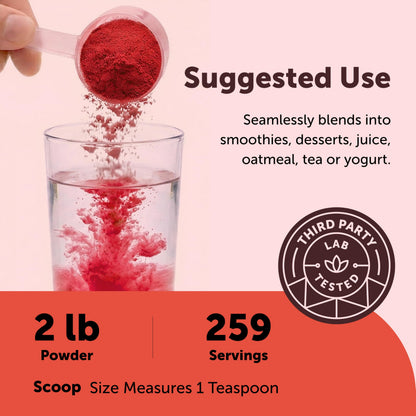 Micro Ingredients Organic Beet Root Powder, 4lb (64 oz) | Nitric Oxide Supplement, Water Soluble, Highly Concentrated Raw Beet Supplement, Superfood Drink Mix, Non-GMO, Plant Based